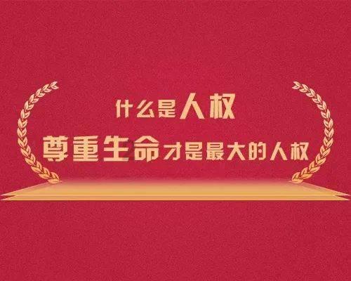 优雅的精灵