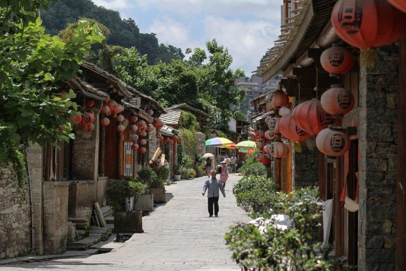 照顾小兔宝宝